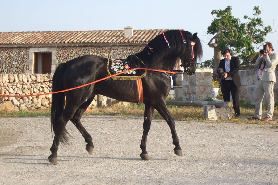 Sa Païssa Menorca