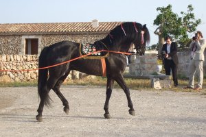Sa Païssa Menorca