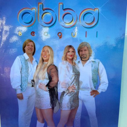 Abba Seagull
